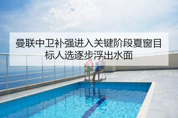 曼联中卫补强进入关键阶段夏窗目标人选逐步浮出水面
